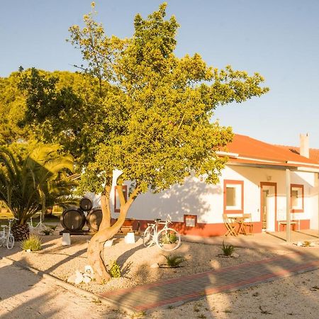 Casa Das Pipas #4 Pinhal Novo Exterior foto